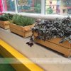 Chậu gỗ chữ nhật trồng cây cao cấp Portable Box-Famifarm