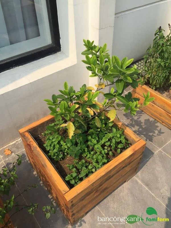 Chậu gỗ trồng cây cao cấp Famifarm Simple Box hình vuông ( SB444)