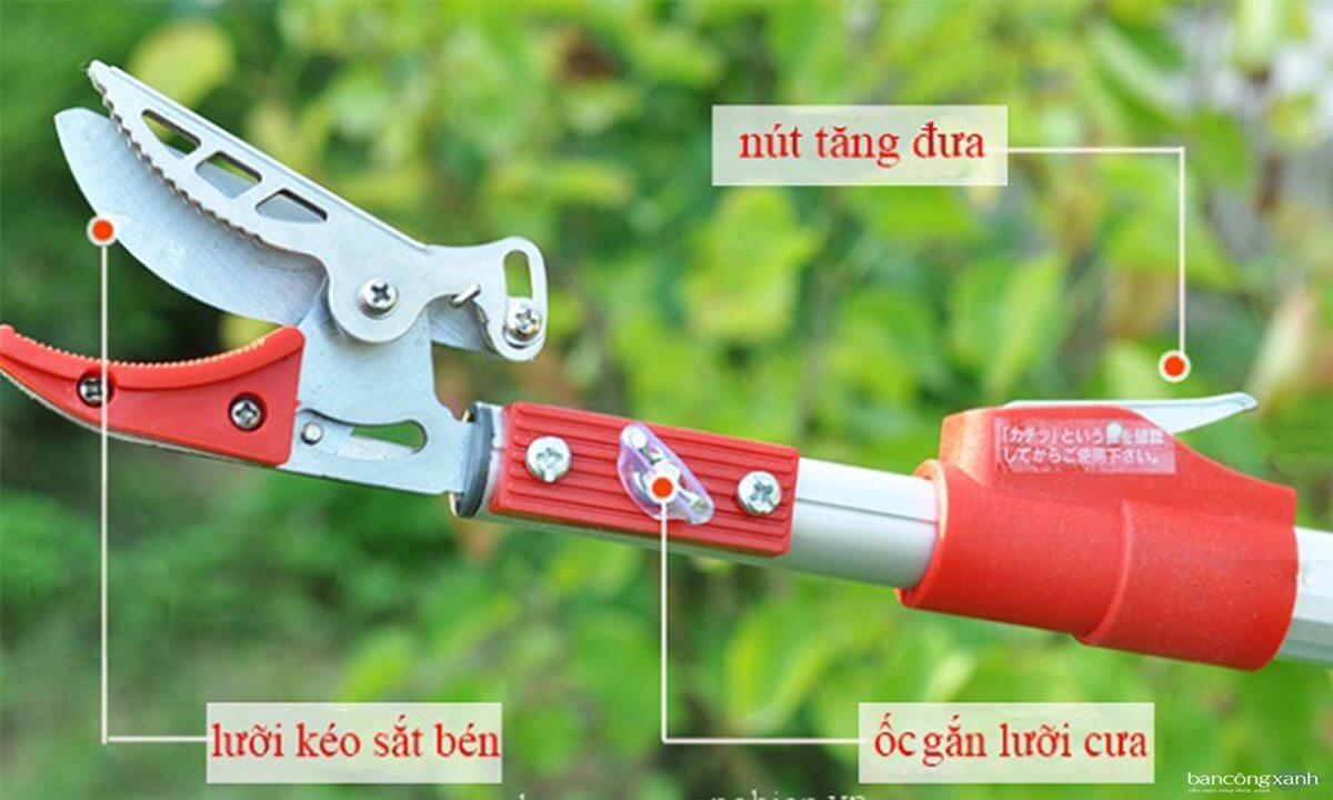 Kéo Cắt Quả,Cành Trên Cao Dài 3M Hm151 - Siêu Thị Thiết Bị Tưới - Vật Tư Nông Nghiệp Công Nghệ Cao