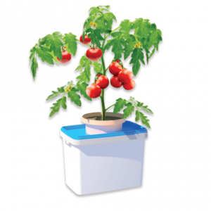Trọn bộ hệ thống trồng cây thuỷ canh tĩnh Growbox Fruity-trồng cây rau ăn trái
