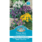 Hạt giống Hoa Pansy mini mix màu (Hoa Păng xê)