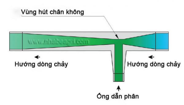 Cham-phan-Nguyen-ly-hoat-dong-2