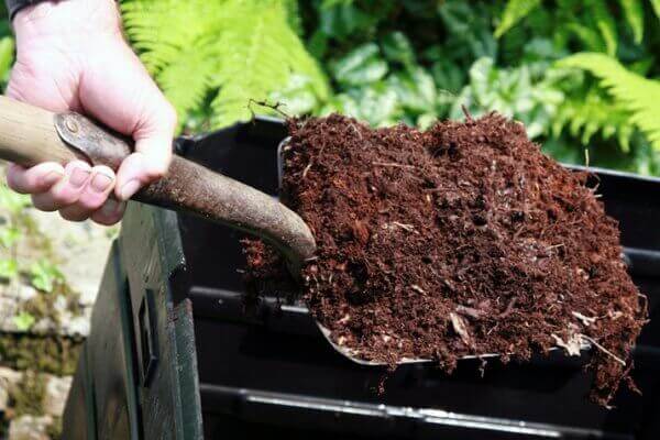 Cách ủ phân dê bón cây trồng